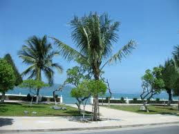 Nhà đẹp
